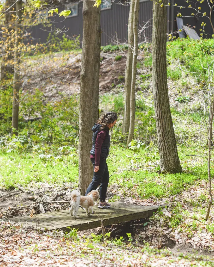 Heather walks a low wooden boardwalk through spring woodland with her small dog, looking down at it as they go.